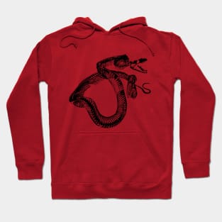 The bony snake Hoodie